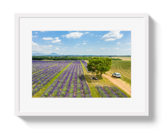 Provence Picnic