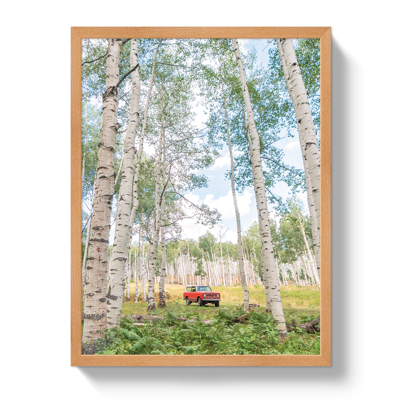 Aspen Scout