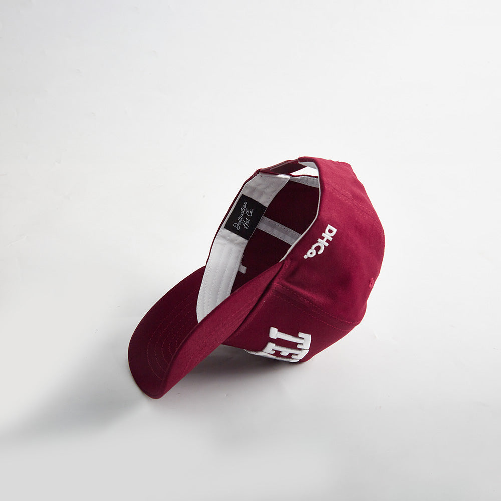 The State of Texas Legacy Snapback