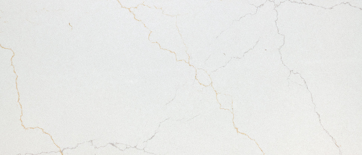Calacatta Adonia Msi Q