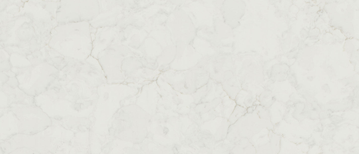 Calacatta Fioressa Msi Q