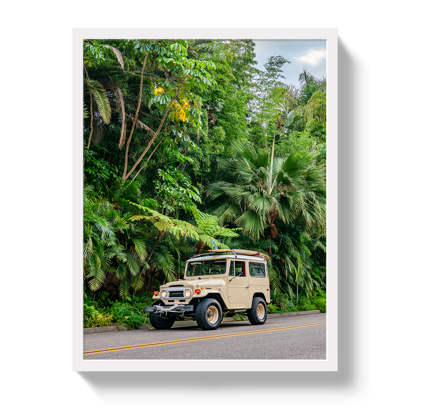 Tropical FJ 2