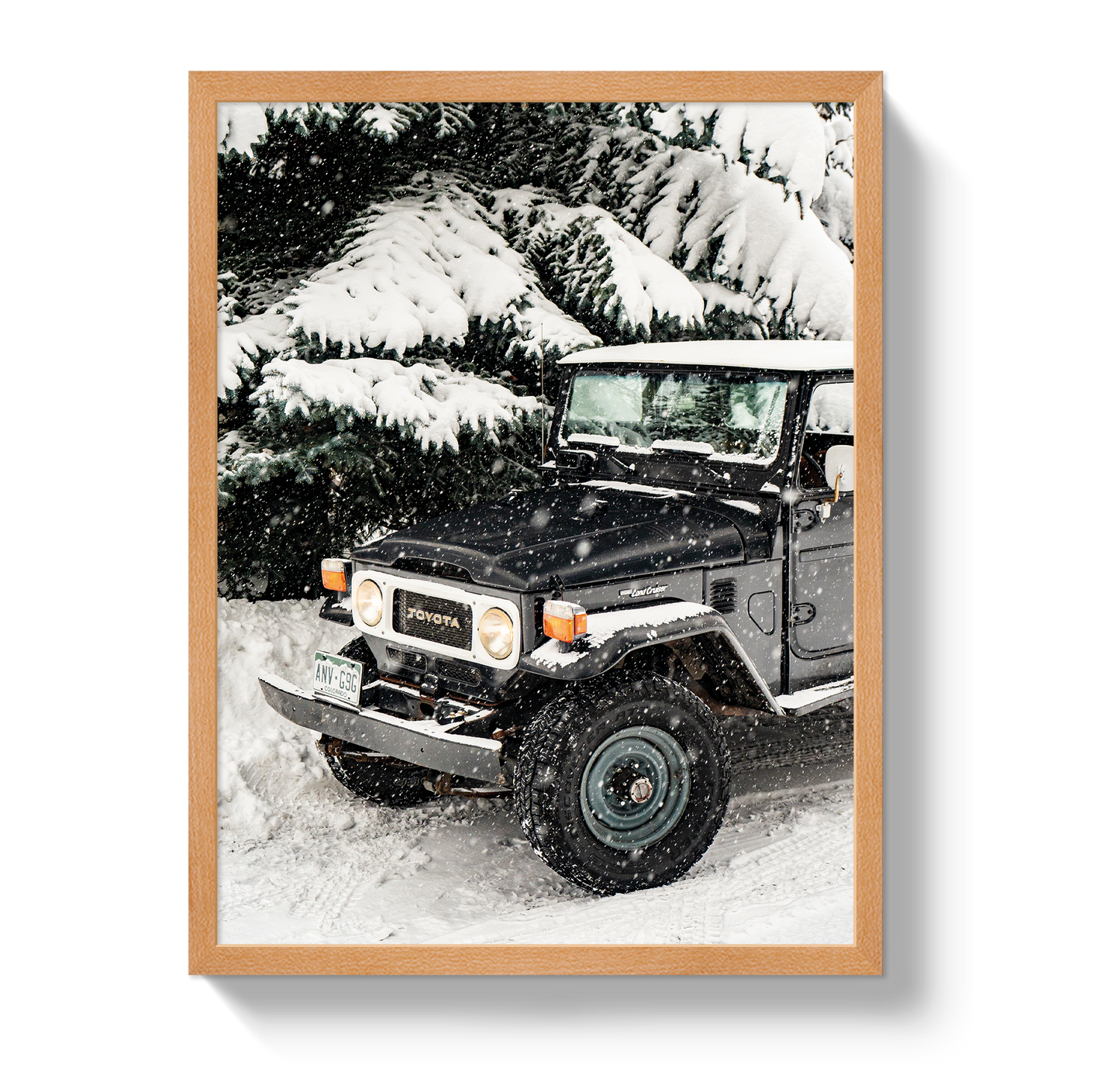 Snowy FJ