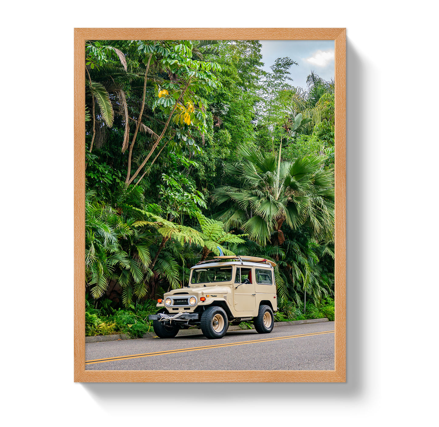 Tropical FJ 2