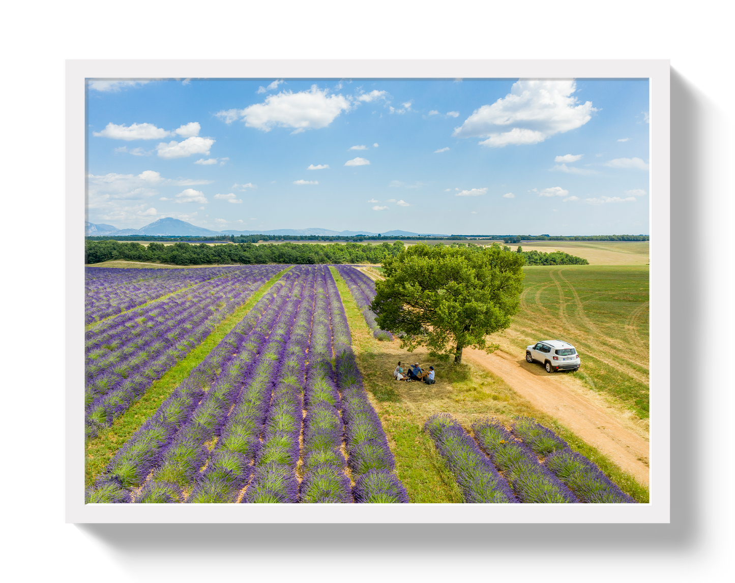 Provence Picnic