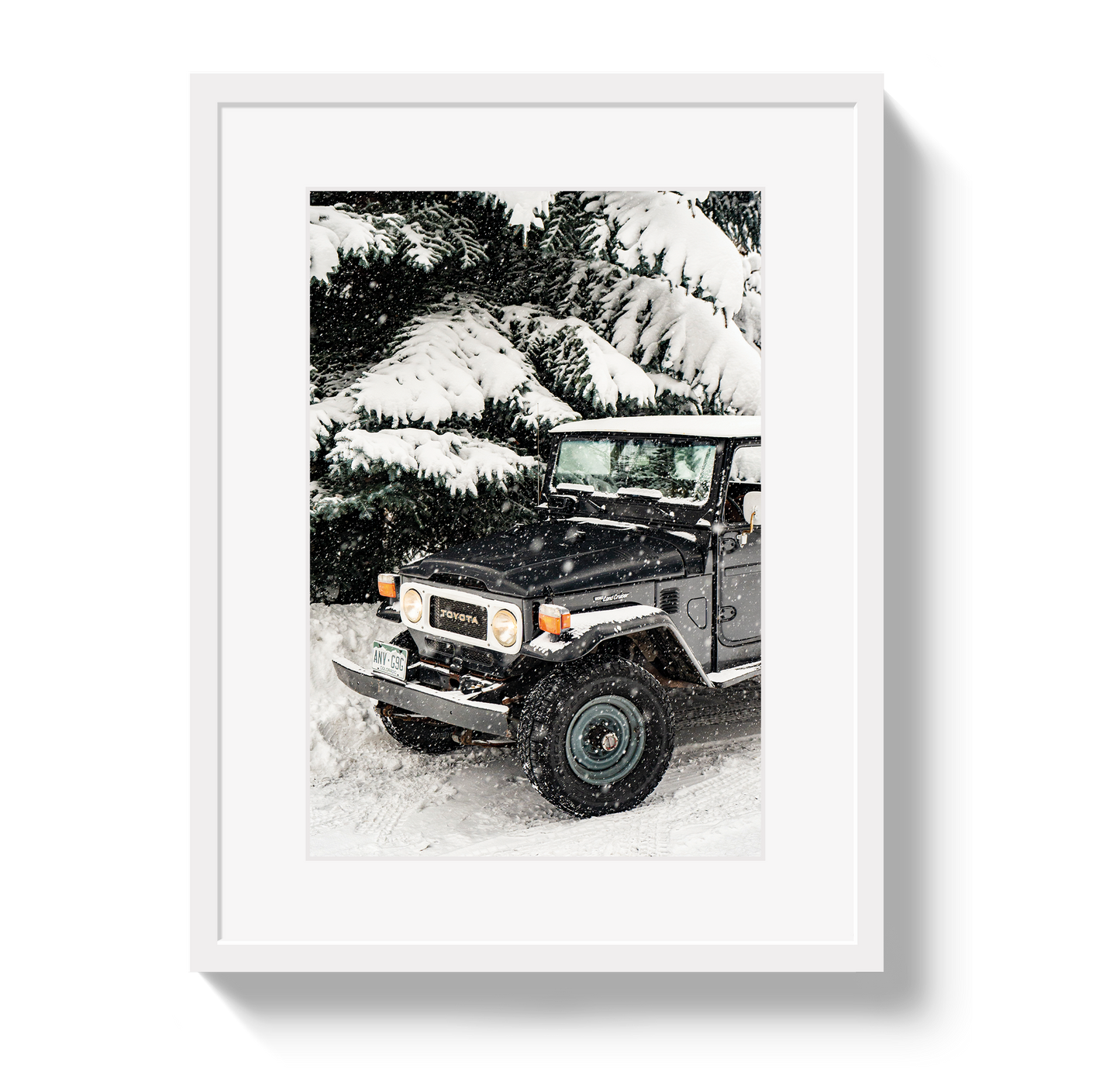 Snowy FJ