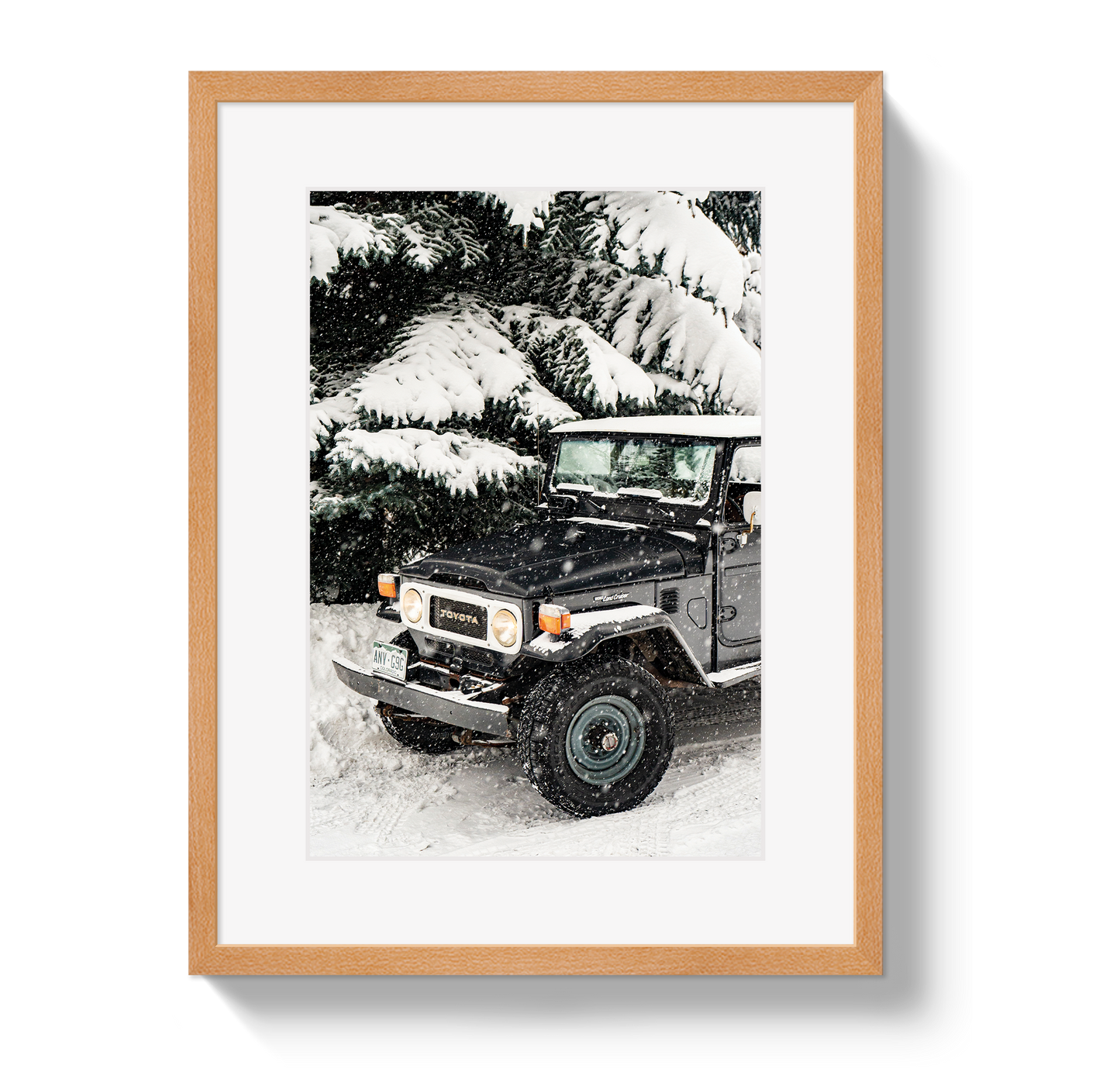 Snowy FJ