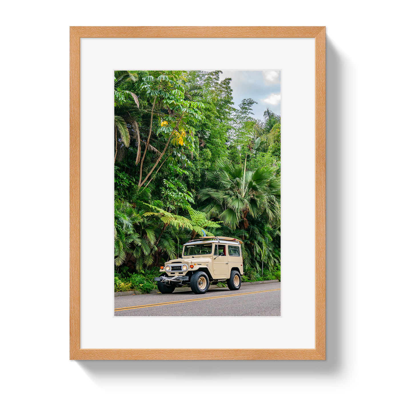 Tropical FJ 2