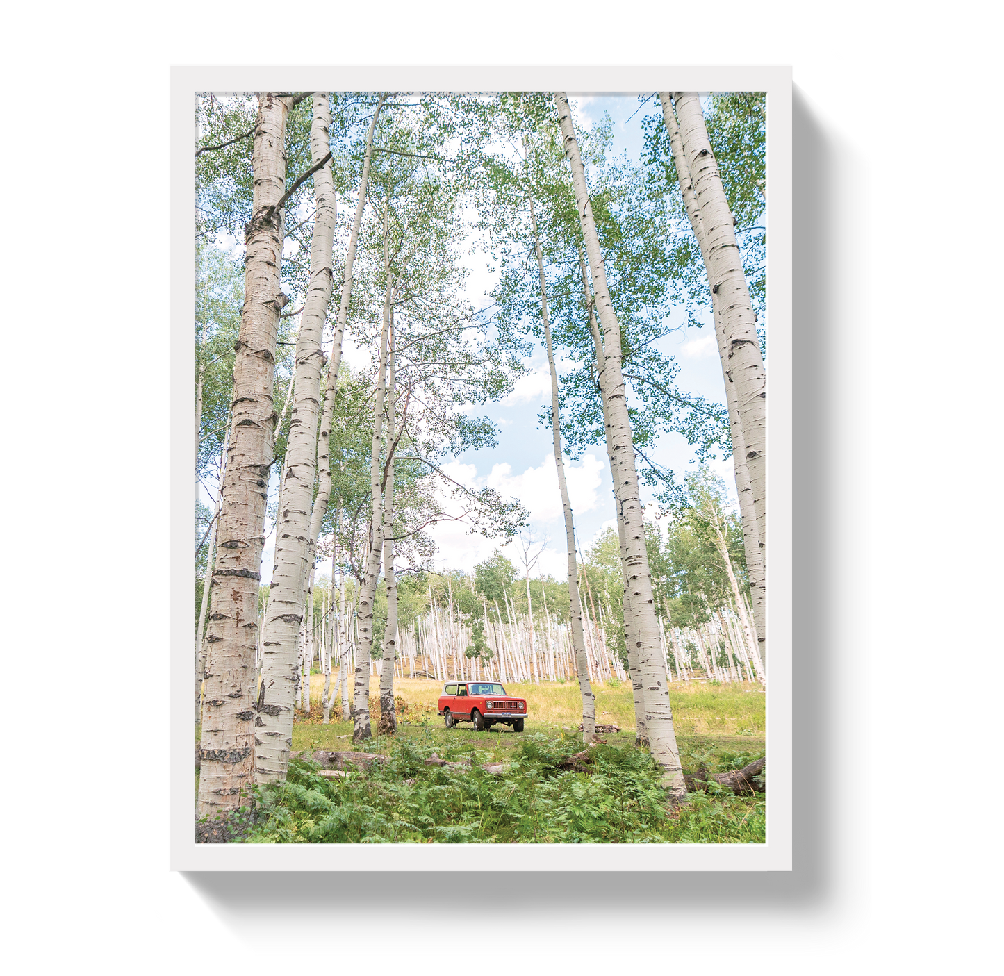 Aspen Scout