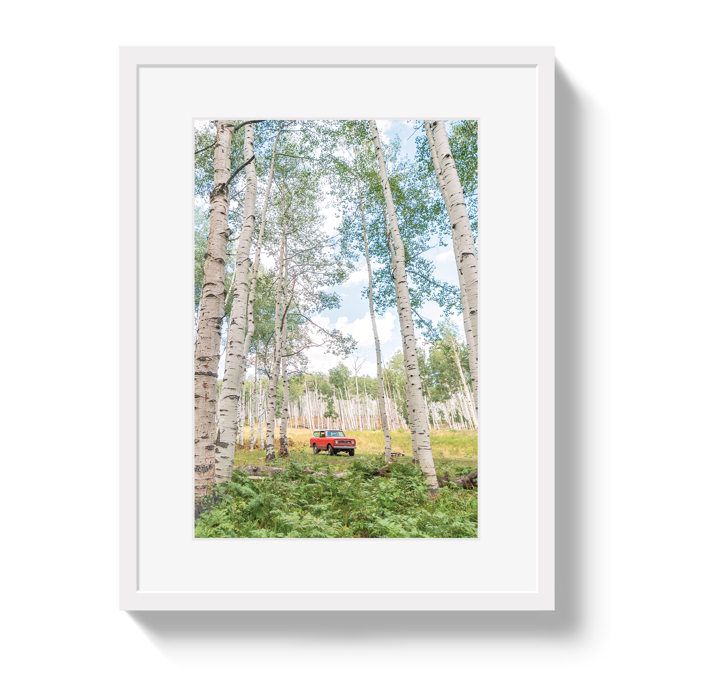 Aspen Scout