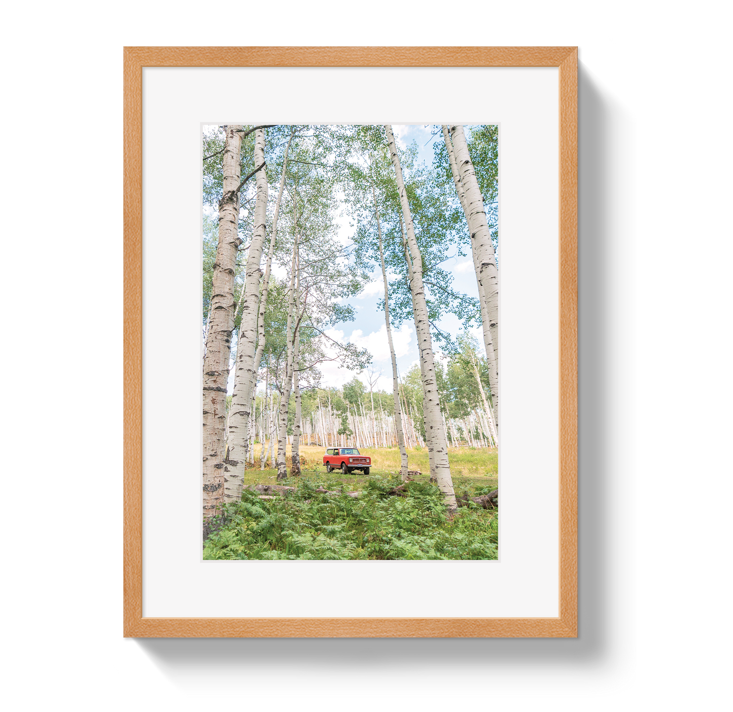 Aspen Scout
