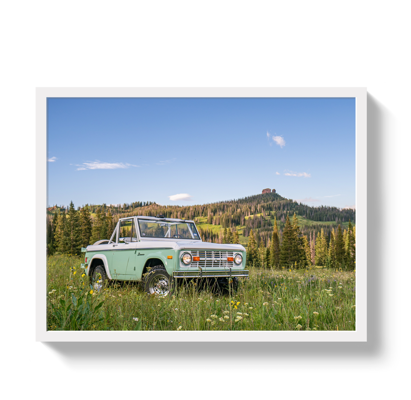 Bronco View 2