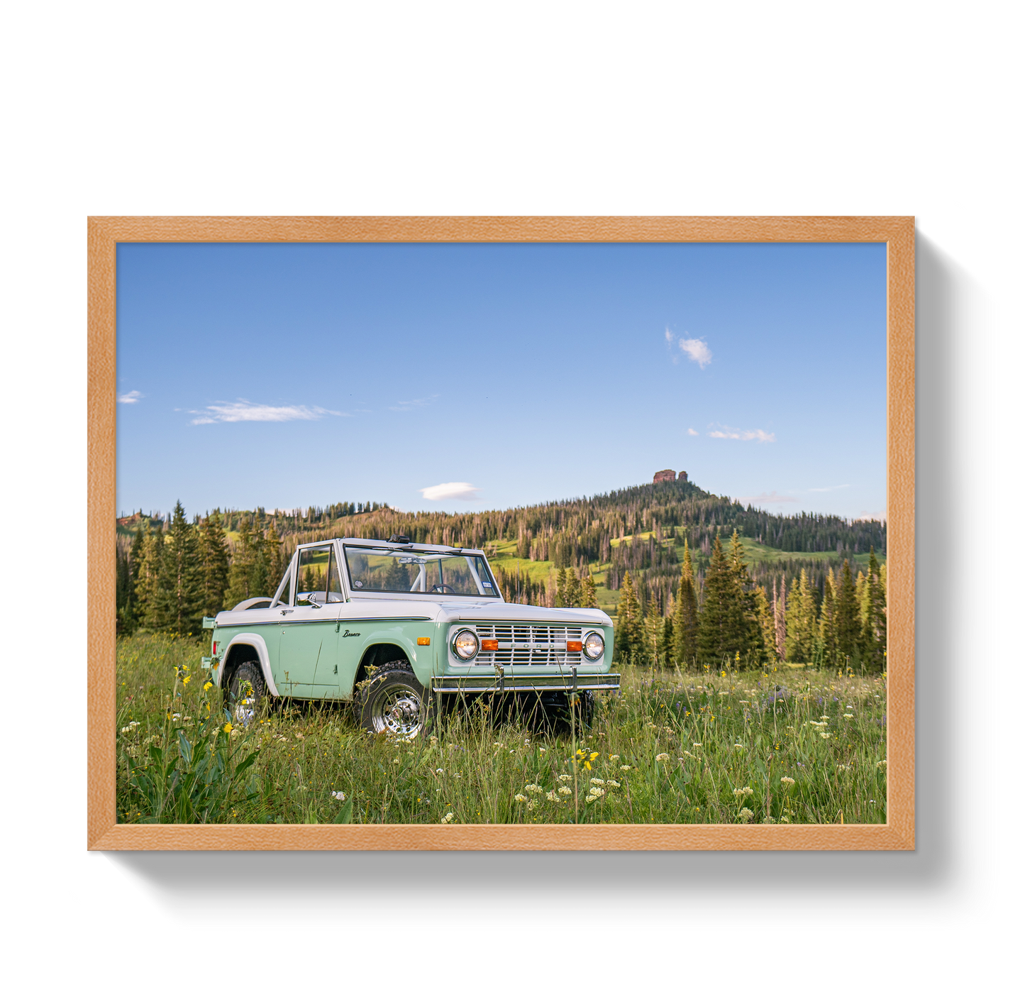 Bronco View 2