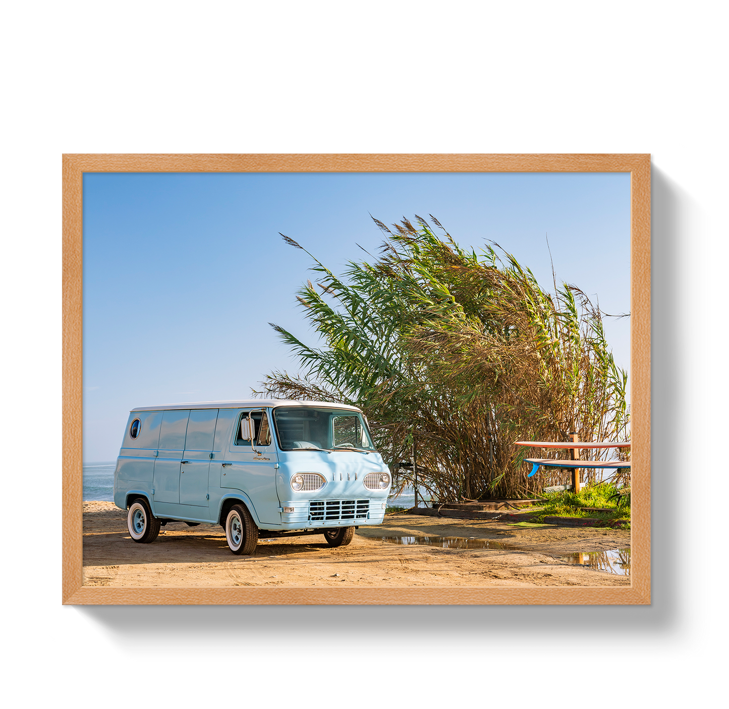Sano Bus