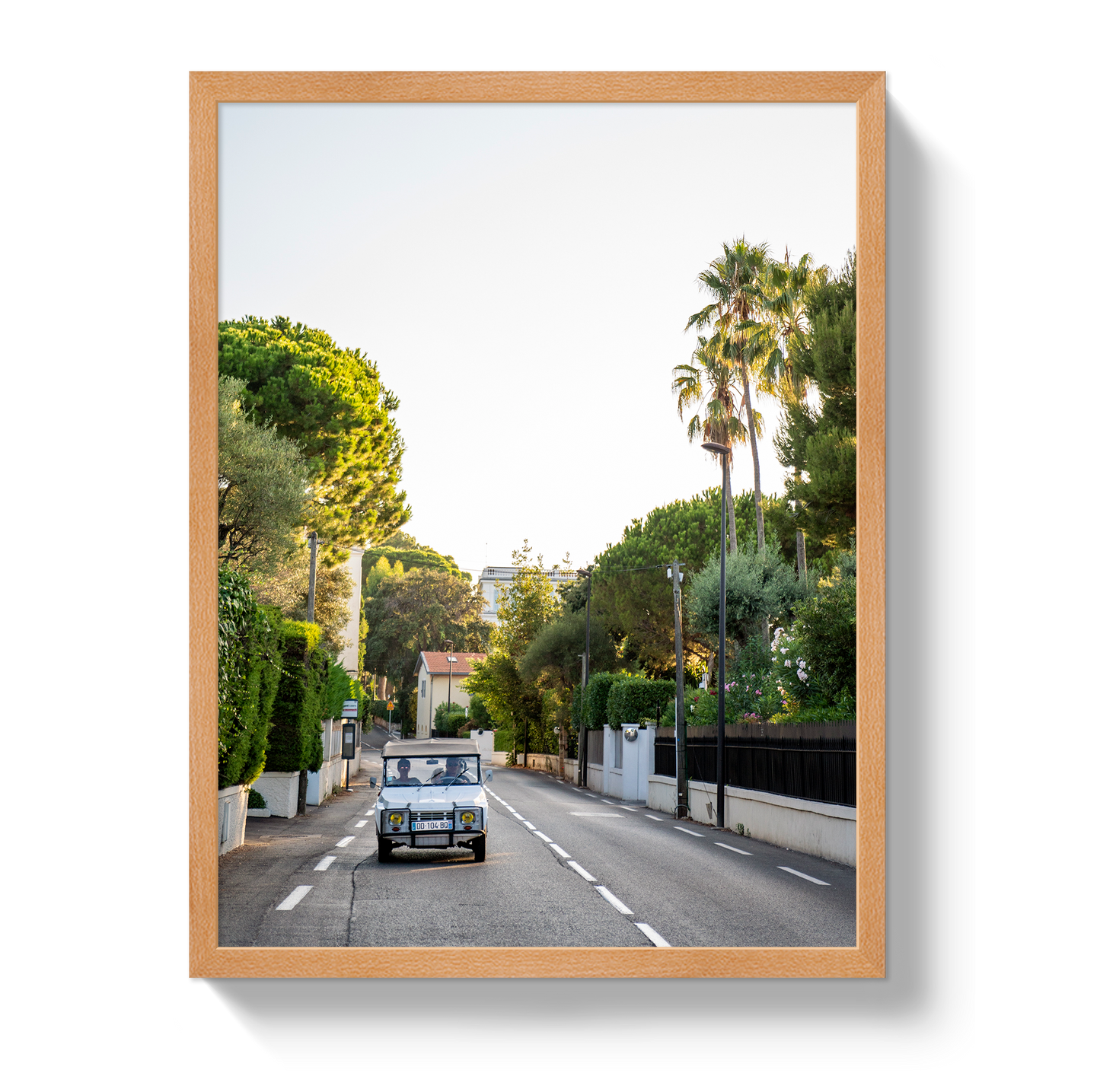 Antibes Joy Ride