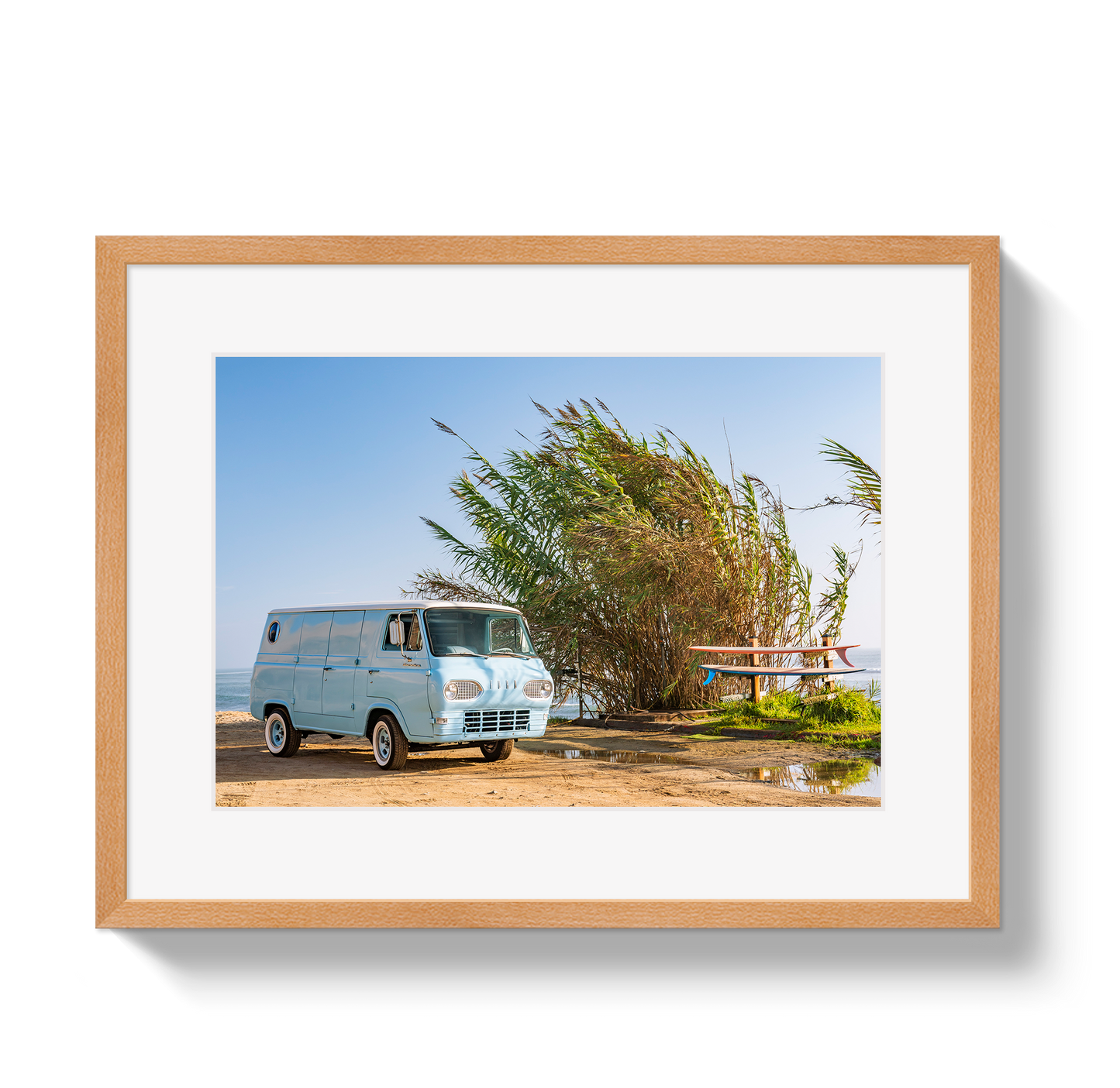 Sano Bus