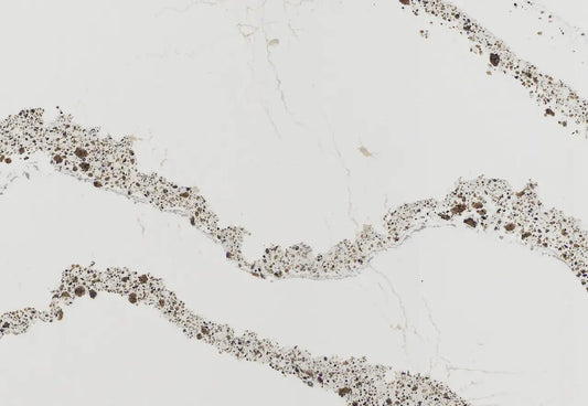 Annicca Cambria