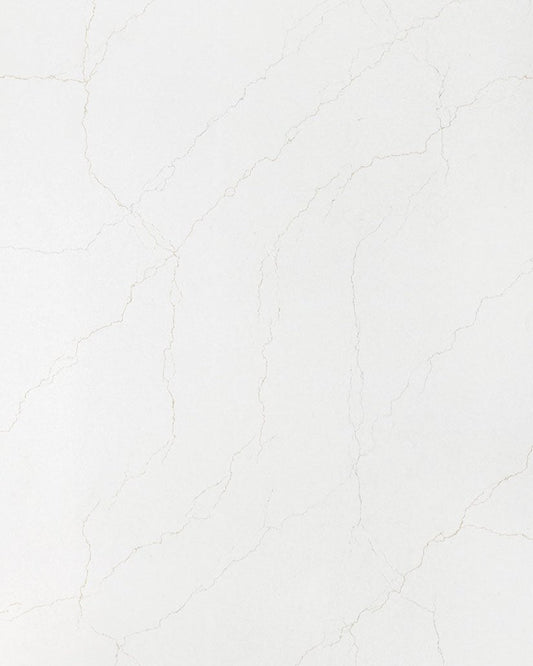 Calacatta Adonia Msi Q