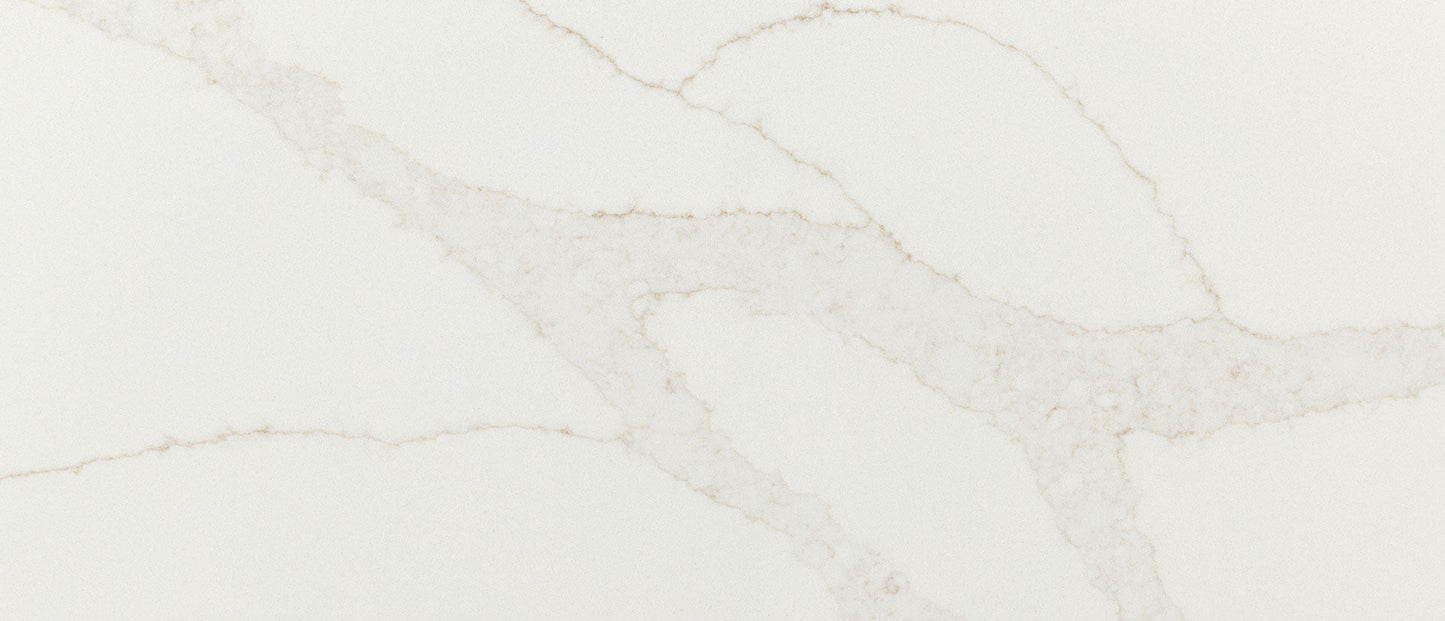 Calacatta Elysio Msi Q