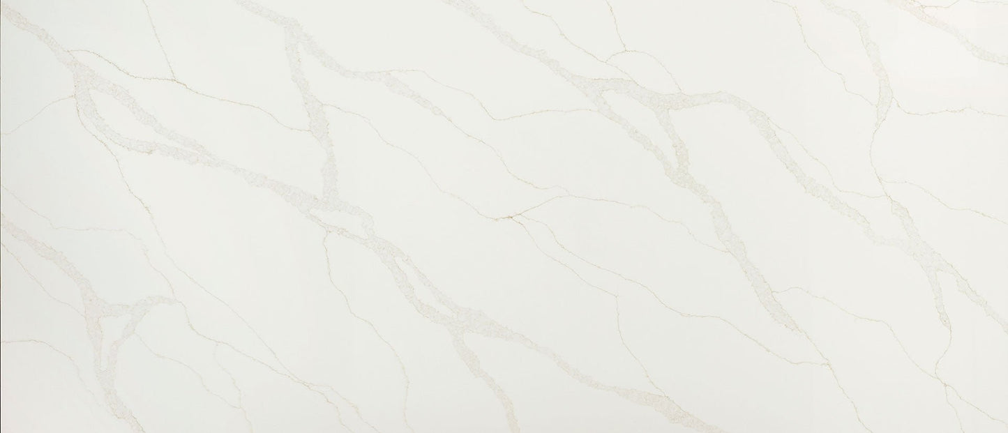 Calacatta Elysio Msi Q