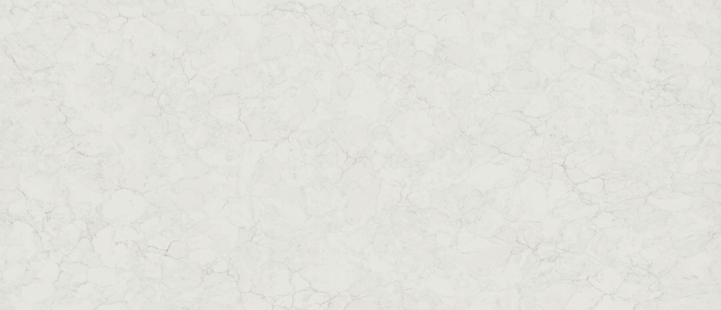 Calacatta Fioressa Msi Q