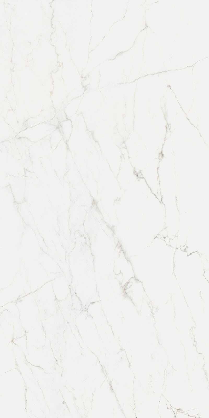 Calacatta Glory Infinity