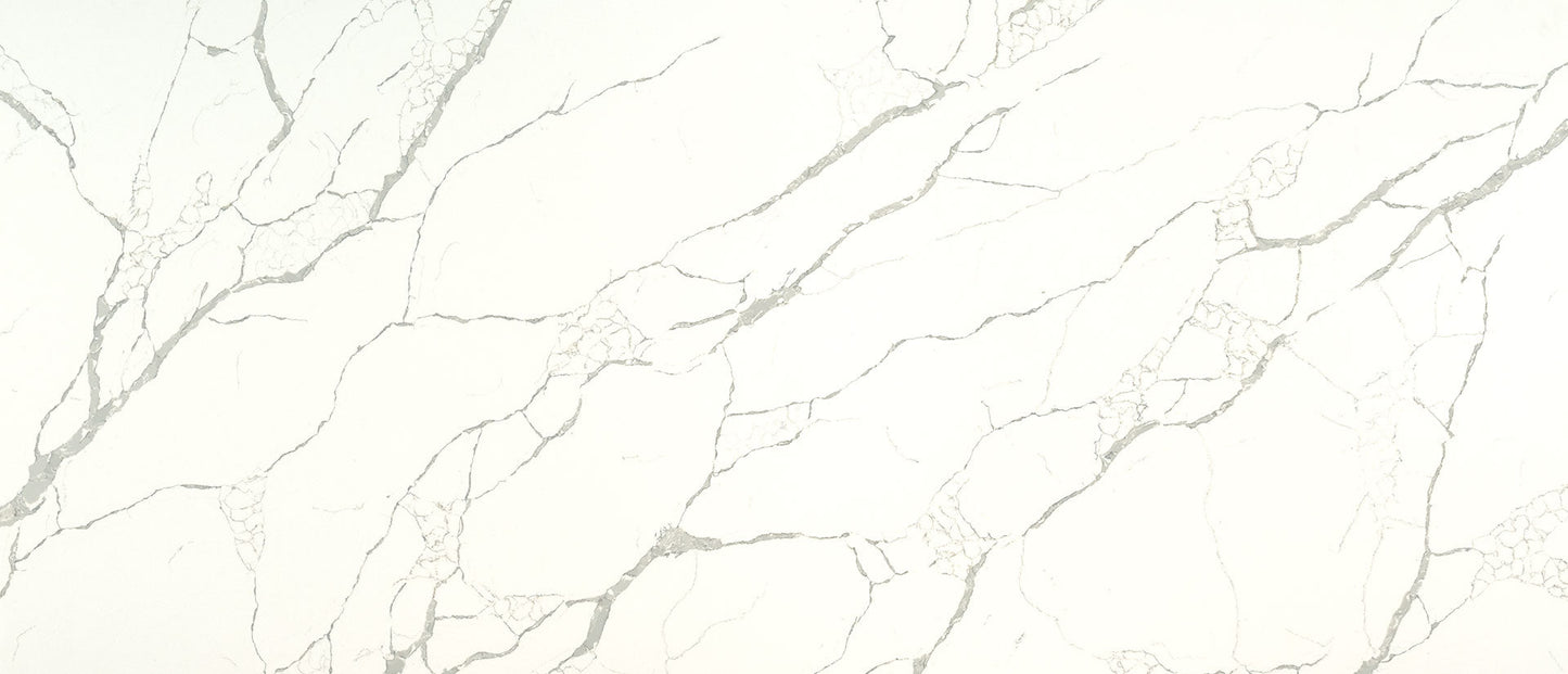 Calacatta Laza Msi Q