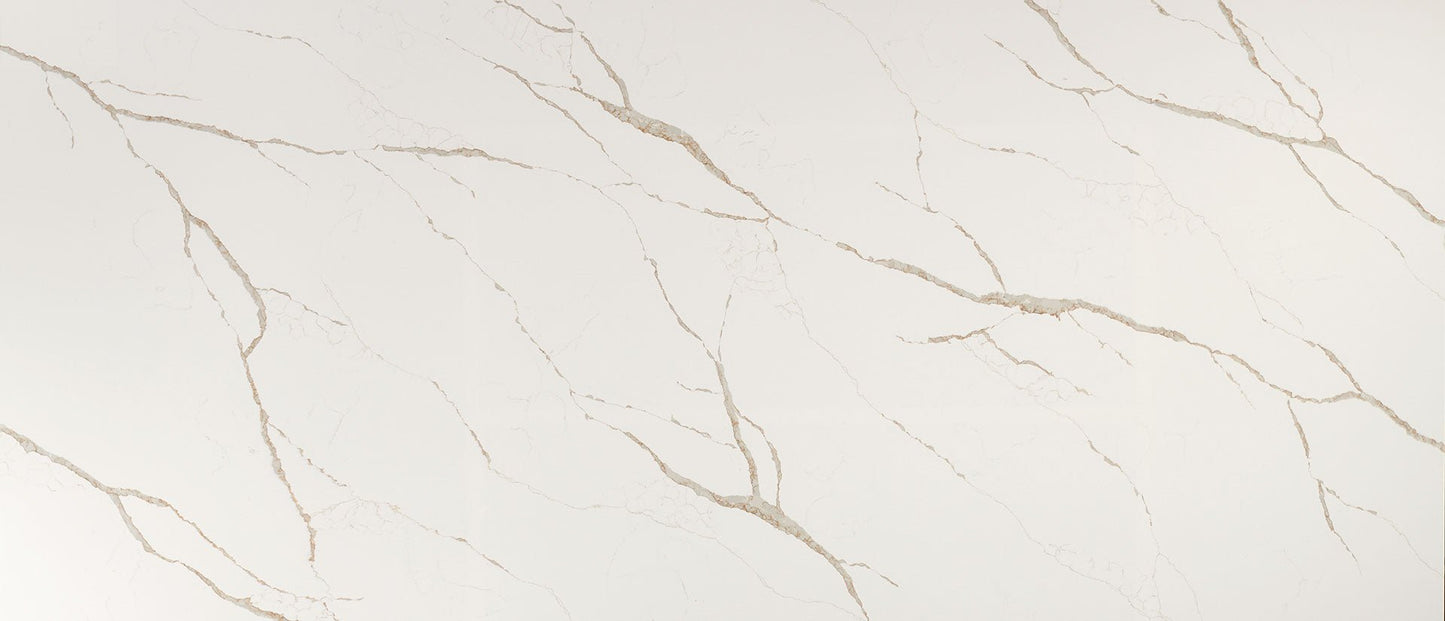 Calacatta Laza Oro Msi Q