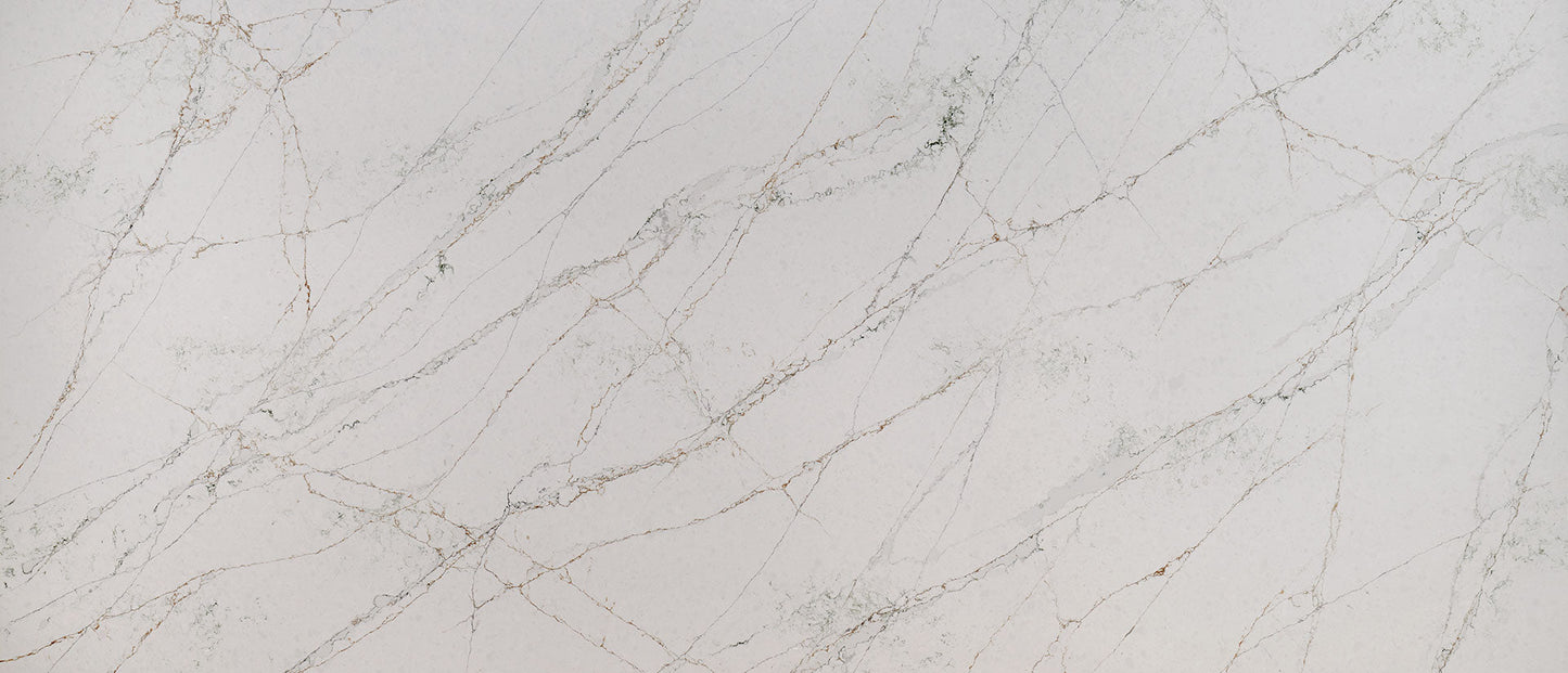 Calacatta Viraldi Msi Q