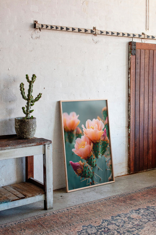 Blossoms In The Desert's Embrace