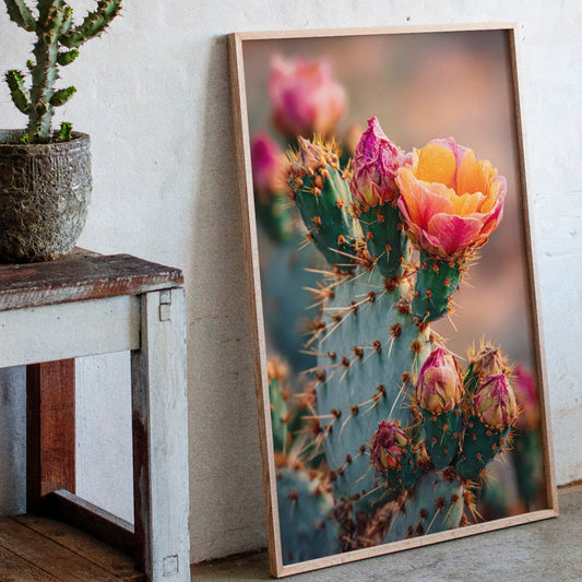 Blossoms Amidst Thorny Embrace