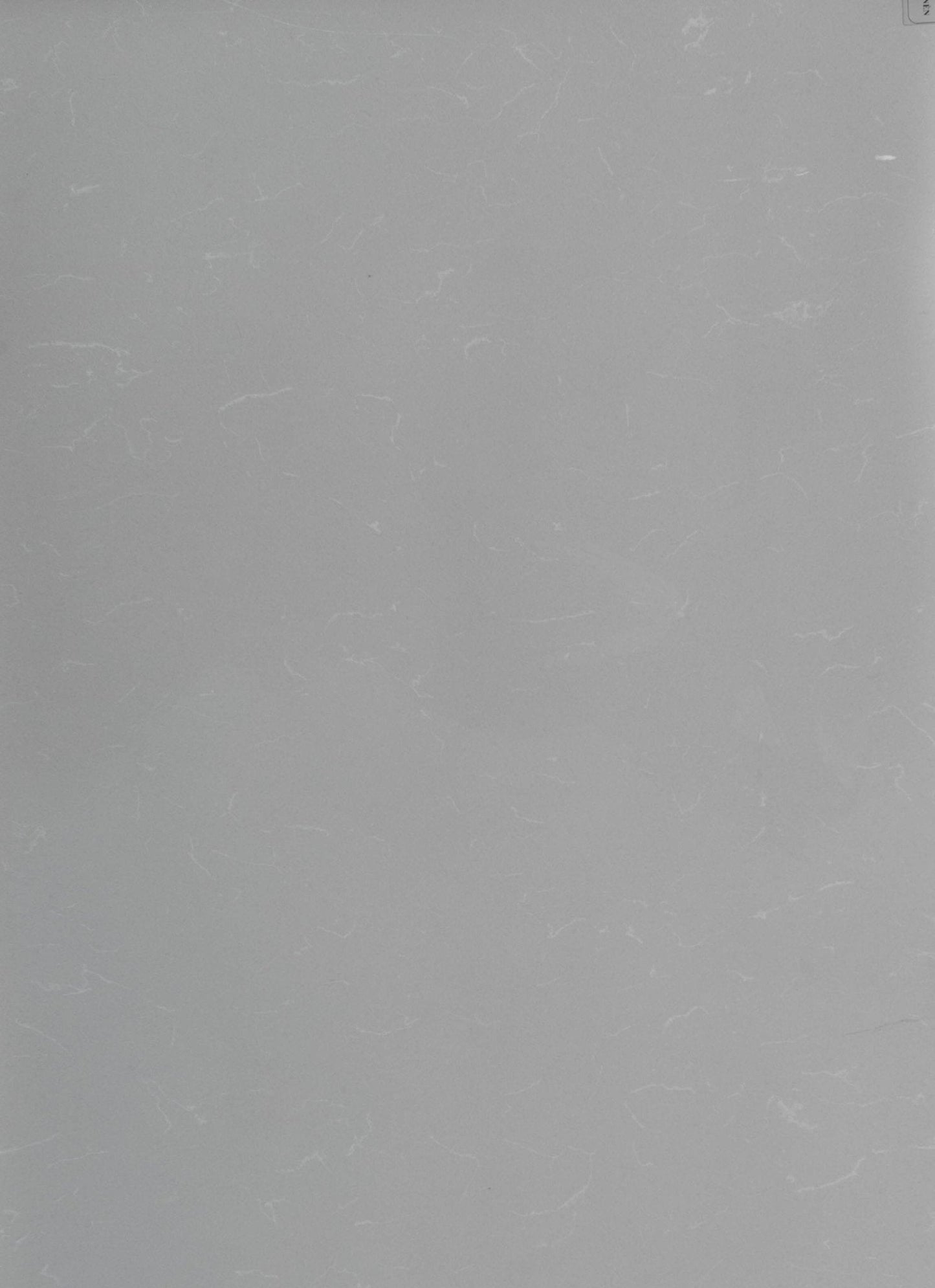 Grey Savoie Vicostone