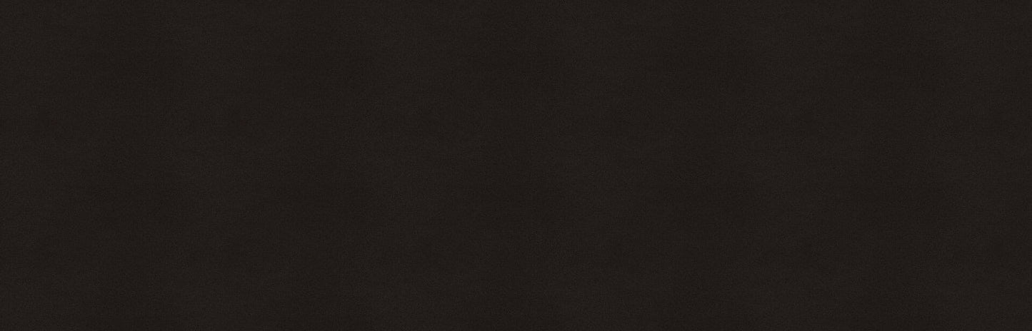 Jet Black Caesarstone
