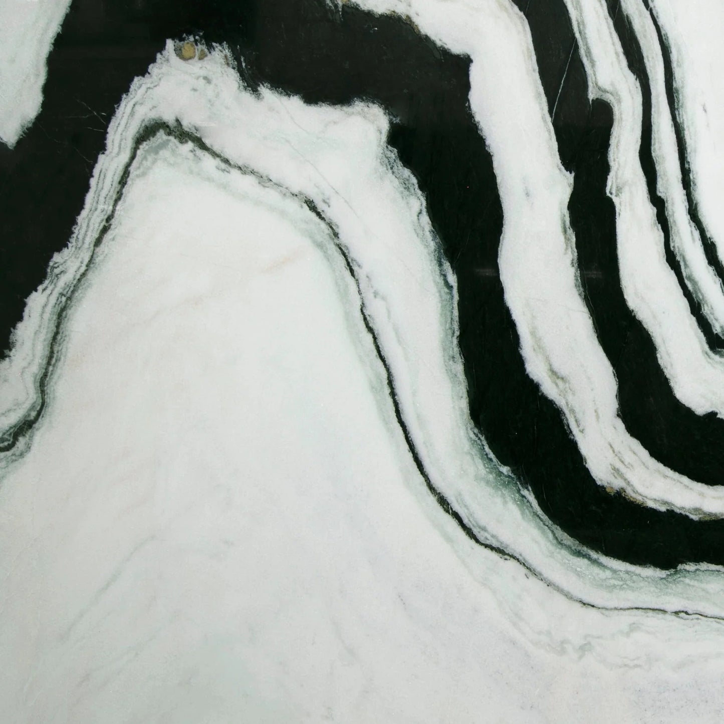 Panda White Marble