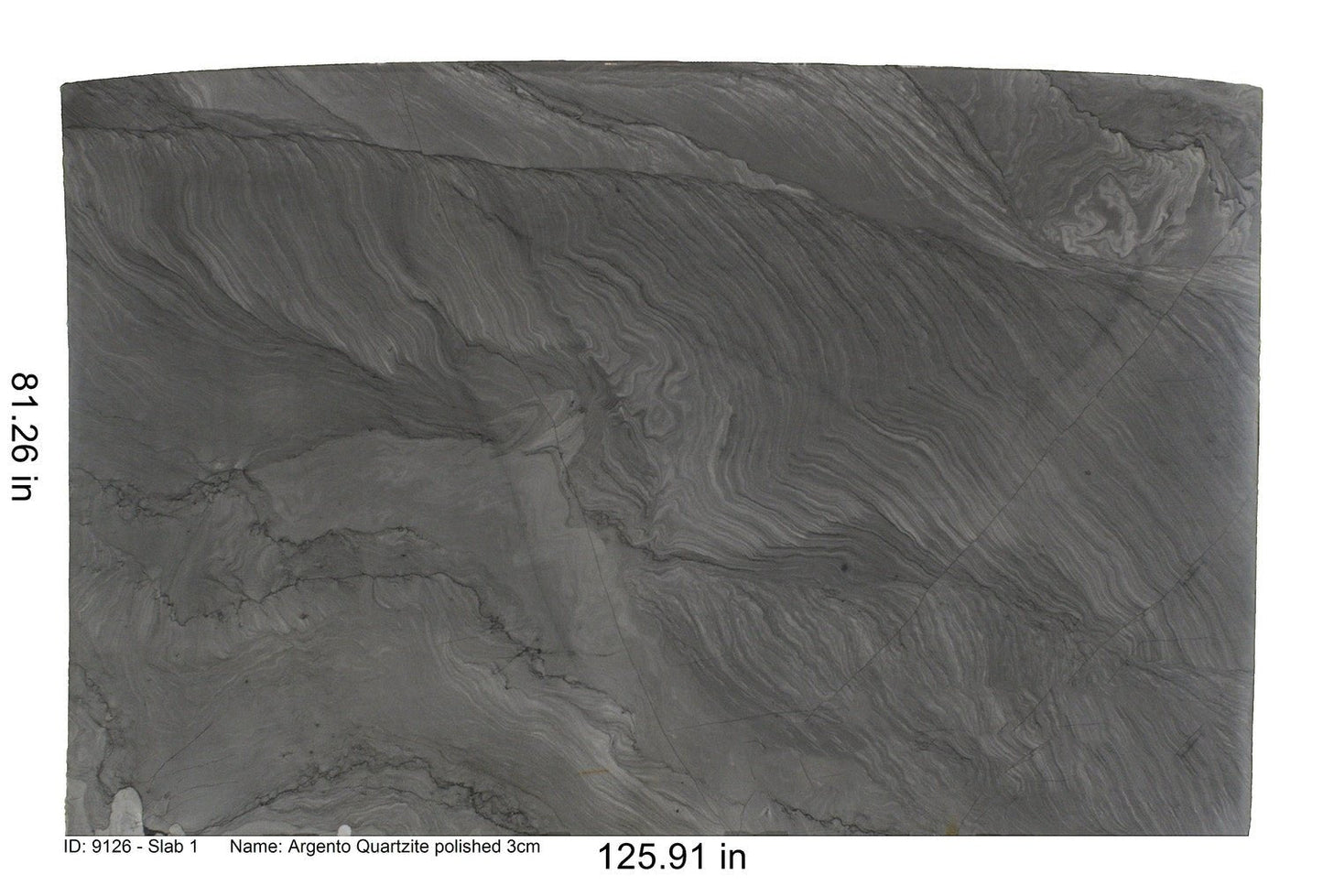 Silver Argento Quartzite