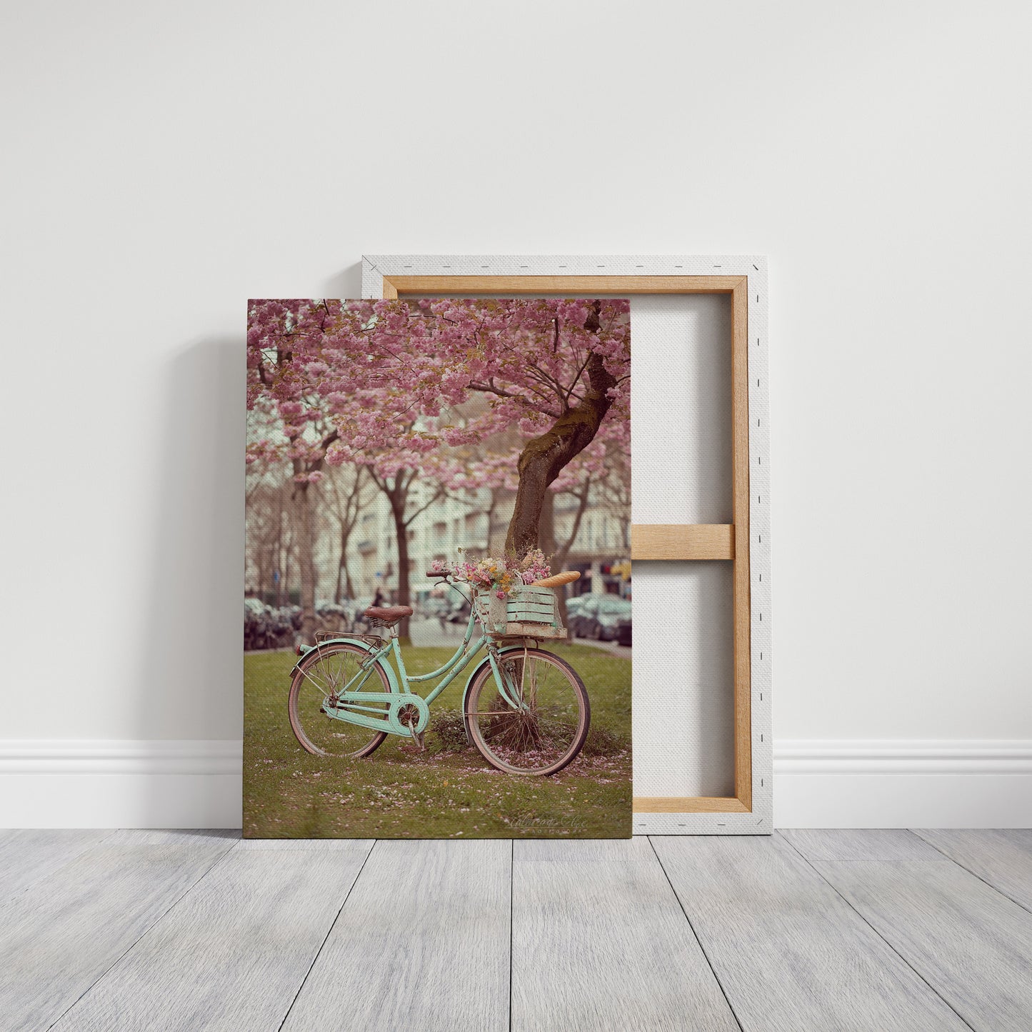 Bicycle Beneath Blossoming Canopy