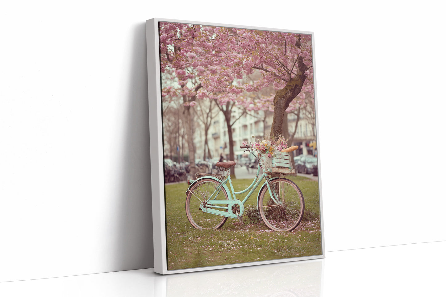 Bicycle Beneath Blossoming Canopy