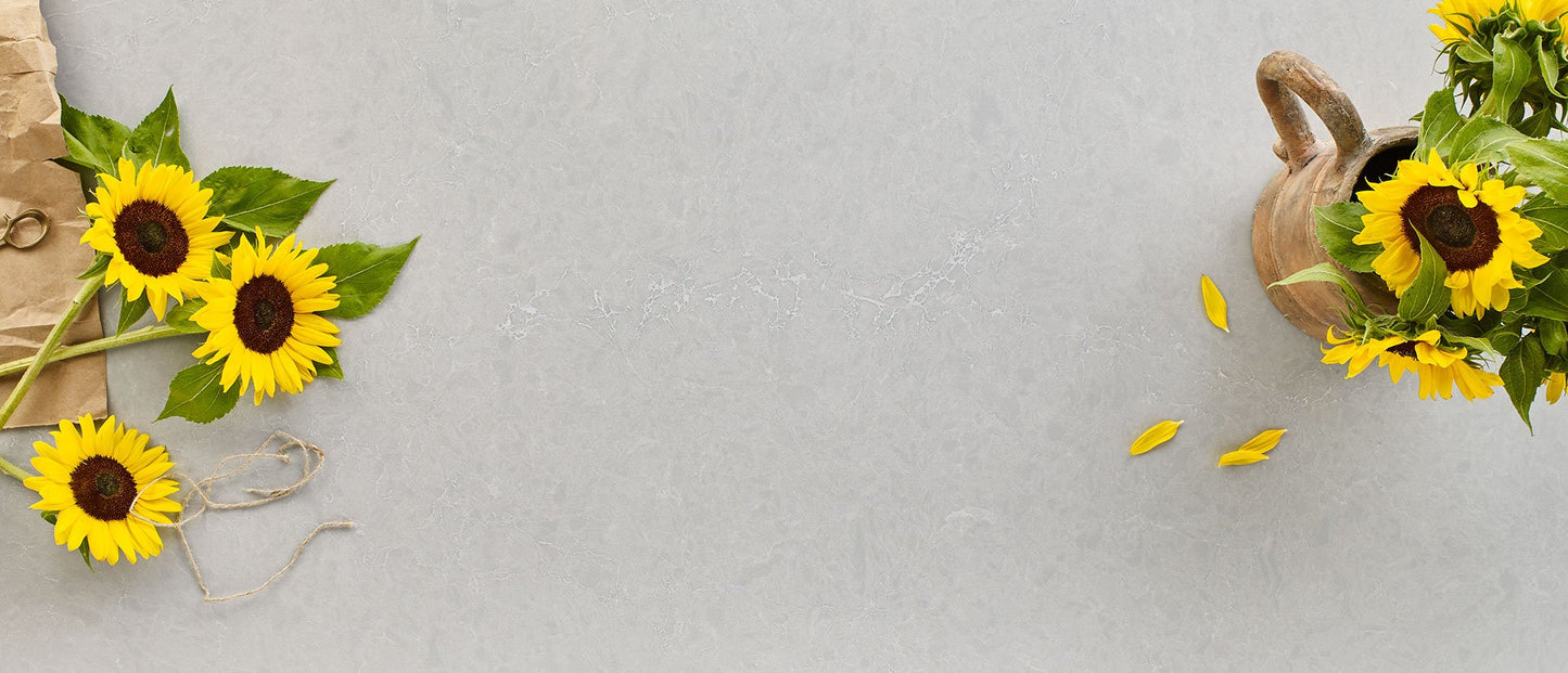 Vena Carbona Msi Q