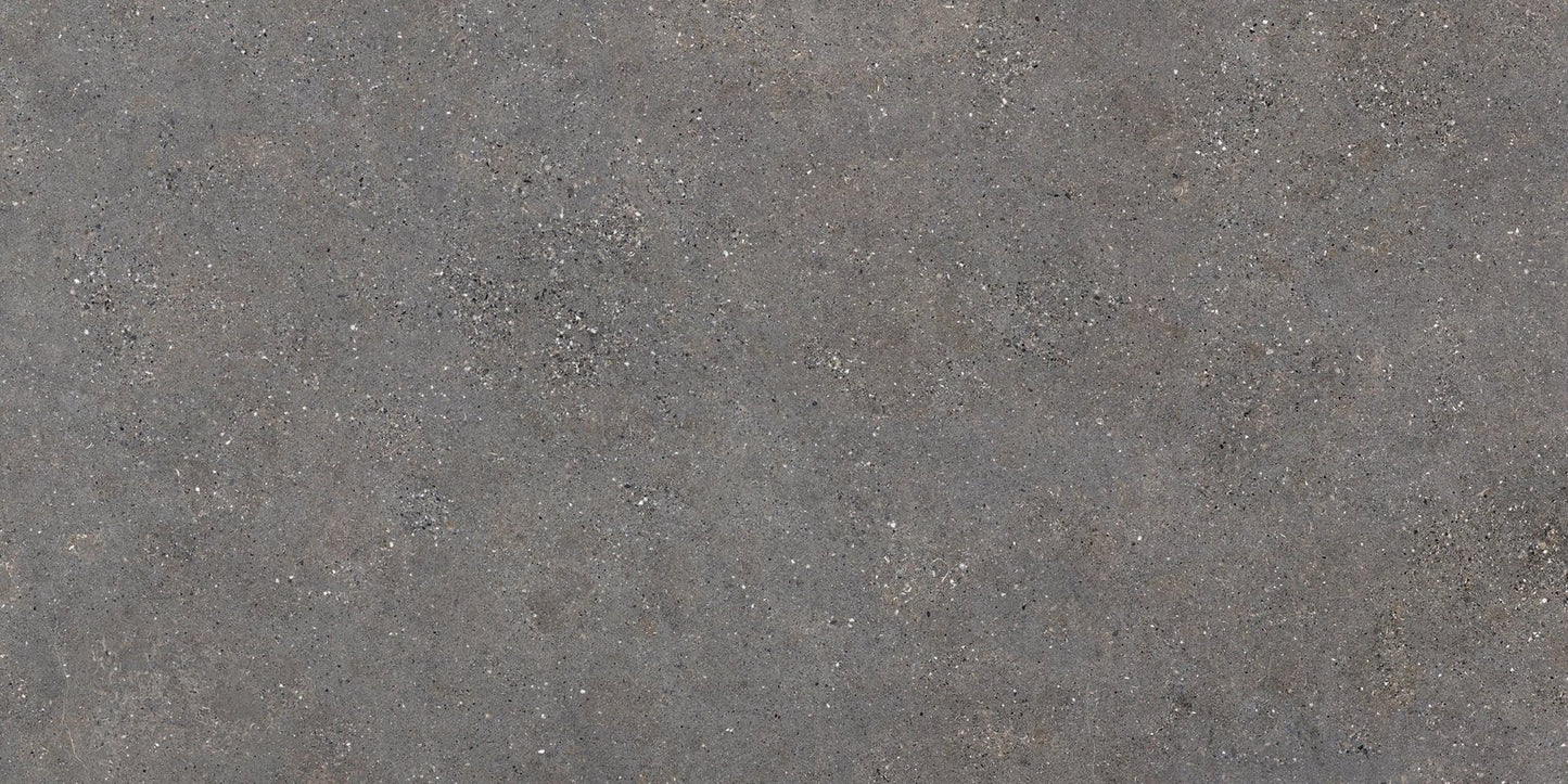 Wulong Neolith